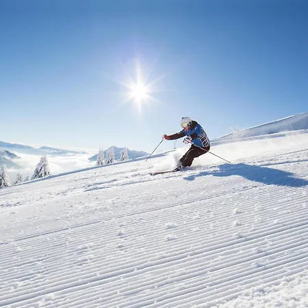 Appartement Gorgeous In *